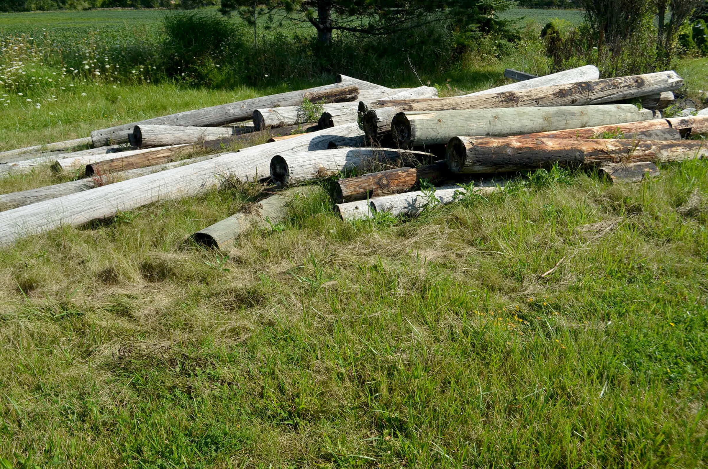 Property photo 98 - PERSONAL PROPERTY AUCTION OF DEWALD GARDENS IN ALLEN COUNTY, INDIANA